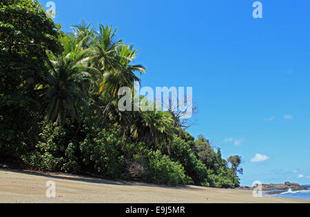 Shore of Caño Island, Osa Peninsula, Costa Rica Stock Photo