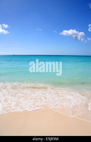 Beautiful white sand beach with turquoise sea & blue sky, Manchebo Beach, Aruba, Caribbean. Stock Photo