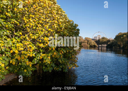 London, UK. 28th October, 2014.  Unexpectedly warm temperatures brought crowds out to enjoy the sunshine and autumn colours in St. James's Park.   Credit:  Stephen Chung/Alamy Live News Stock Photo
