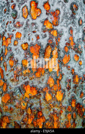 Metal rust background Stock Photo