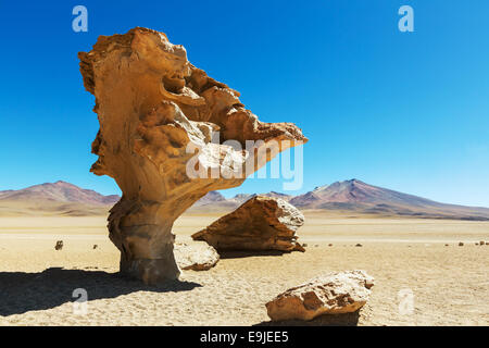 Arbol de Piedra Stock Photo