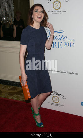 19th Annual Jonsson Cancer Center Foundation's 'Taste For a Cure' honoring Steve Mosko at the Beverly Wilshire Hotel - Arrivals  Featuring: Alyson Hannigan Where: Los Angeles, California, United States When: 25 Apr 2014 Stock Photo