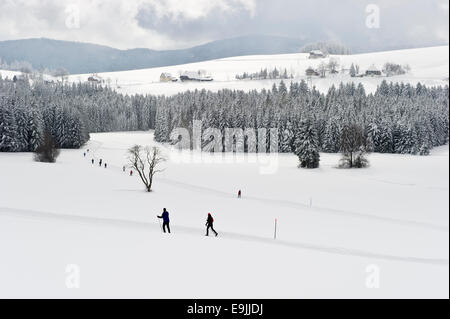 Snow-covered winter landscape with cross-country skiers, Breitnau, Black Forest, Baden-Württemberg, Germany Stock Photo