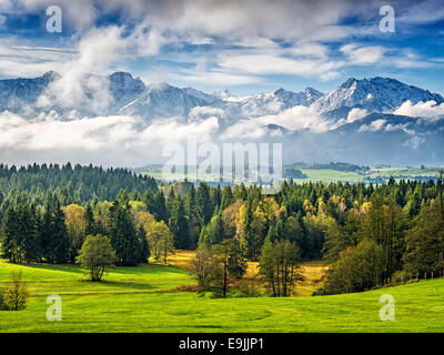 Landscape in Allgau Bavaria with mountains and meadows Stock Photo