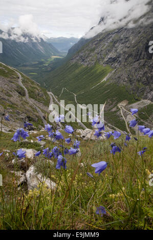 View over Isterdalen valley and the famous Trollstigen road, Norway Stock Photo