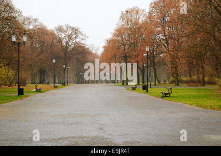 Empty city park in a raining autumn day Stock Photo