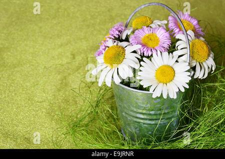Rural composition with daisies on a green background Stock Photo