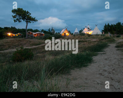 luxury campsite in coastal dunes amongst  pines wood viewed over a field of  grass and fence  after sunset Stock Photo