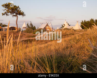 luxury campsite in coastal dunes amongst scattered pines viewed over a field of  grass under golden evening light Stock Photo