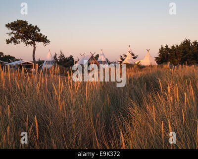 luxury campsite in coastal dunes viewed through field of grass in golden evening light Stock Photo