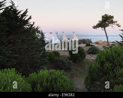 luxury campsite in coastal dunes viewed through trees at last light Stock Photo
