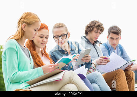 University students studying together in park Stock Photo