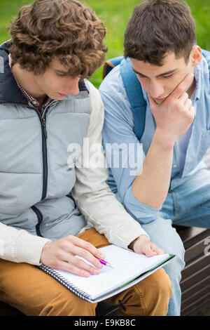 Young male college friends studying together in park Stock Photo