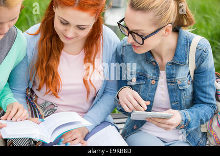 Young women studying together in park Stock Photo