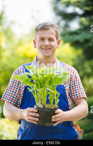 Portrait of happy gardener holding potted plants at greenhouse Stock ...