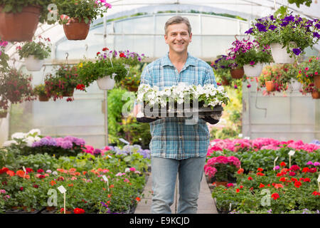 Portrait of happy gardener carrying crate with flower pots in greenhouse Stock Photo