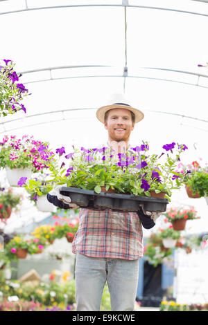 Portrait of happy gardener holding flower pots in crate at greenhouse Stock Photo
