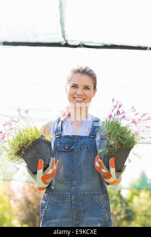Portrait of happy female gardener holding potted plants at greenhouse ...