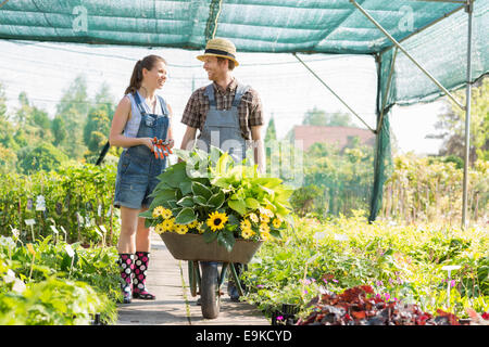 Gardeners discussing while pushing plants in wheelbarrow at greenhouse Stock Photo