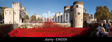 Tower of London Poppies panorama as a memorial to the soldiers who died in the first world war ( WW1 ), London England UK Stock Photo