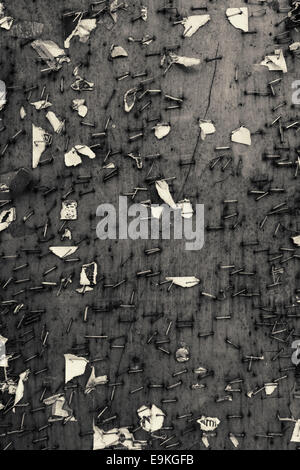 Empty run down message board filled with old staples Stock Photo