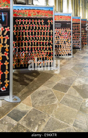 Salisbury, Wiltshire, UK. 29th October, 2014. A special Wall of Remembrance, commemorating those Wiltshire soldiers who lost their lives during the First World War, is in the historic Salisbury Cathedral.  The display will be at the cathedral until 21 November 2014 . It is made of crosses made by thousands of local school children across the county with each containing the name of a soldier who lost their life - 10,000 in total. Credit:  Paul Chambers/Alamy Live News Stock Photo