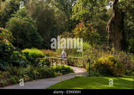 A senior couple enjoy the view over the lake, from the picturesque bridge.Rosemoor  RHS gardens. Stock Photo
