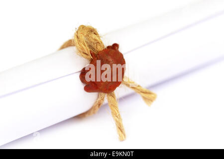 Wax seal on a rolled paper tied with roope Stock Photo