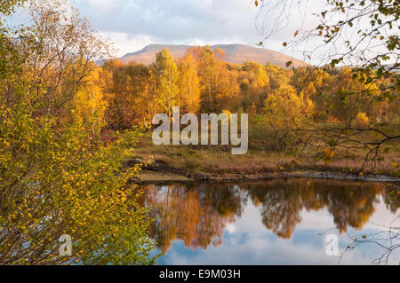 Autumn trees reflected in Loch Garry, Lochaber, Highlands, Scotland Stock Photo