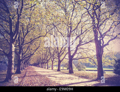 Vintage filtered picture of an autumn in park. Stock Photo