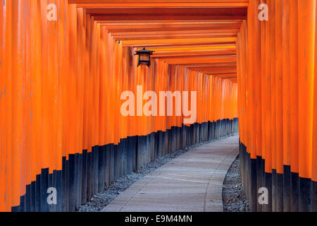 Kyoto, Japan at the Fushimi Inari Shrine gates. Stock Photo