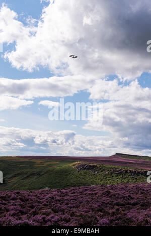 Bi plane flying over the Peak District Derbyshire rugged moorland covered in purple heather during August England Stock Photo