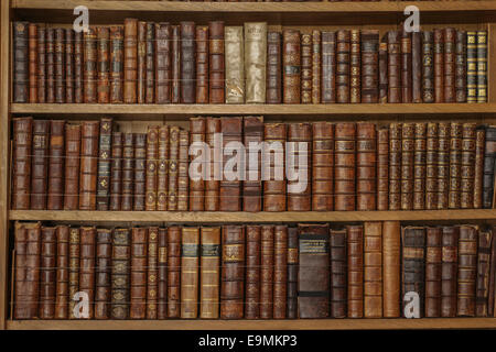 Rows of antique leather books Stock Photo