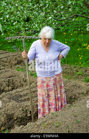 The old woman works in a blossoming garden Stock Photo