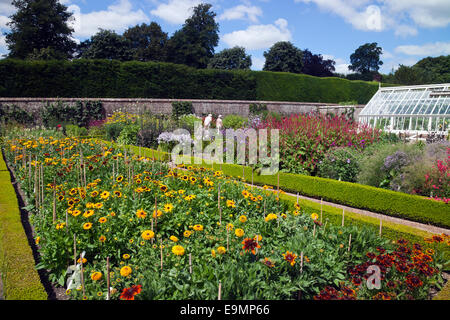 Some of the trial beds in the walled kitchen garden at West Dean Gardens, West Sussex, England, UK Stock Photo