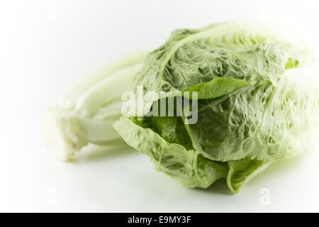 Romain Lettuce Stock Photo