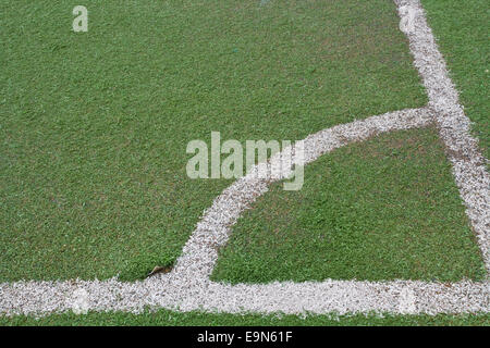 Corner of football field with fake grass Stock Photo