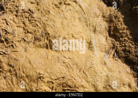 Travertine hill, Lingenau,calc-sinter