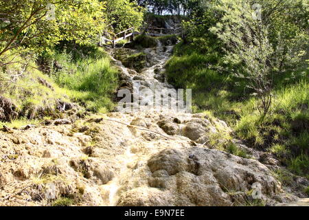 Travertine, Lingenau