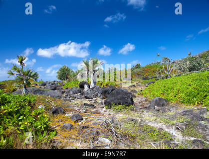 Mauritius. Stony landscape of the island Stock Photo