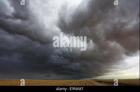 Huge thundercloud on fields Stock Photo