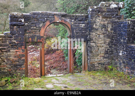 Ruins of Errwood Hall in the Goyt valley, Derbyshire. Stock Photo