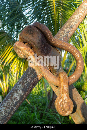 Rusty chain links on large anchor in garden Stock Photo