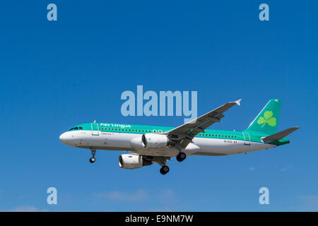 Aer Lingus Airbus A320 plane, EI-CVC, named St Kealin, on its approach for landing at London Heathrow, England, UK Stock Photo