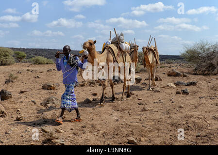 Djibouti, Lake Assal. An Afar camel caravan crosses the salt flats of ...