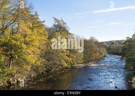 The river Tees at Middleton in Teesdale in autumn, north east England, UK Stock Photo