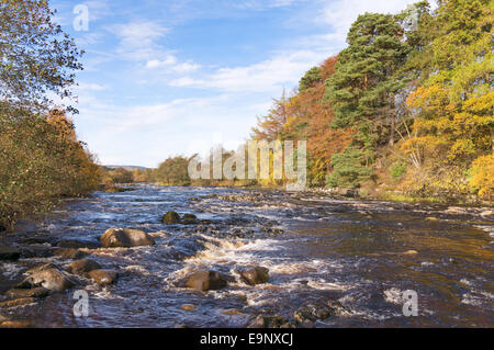 Autumn view of the river Tees near Middleton in Teesdale north east England UK Stock Photo