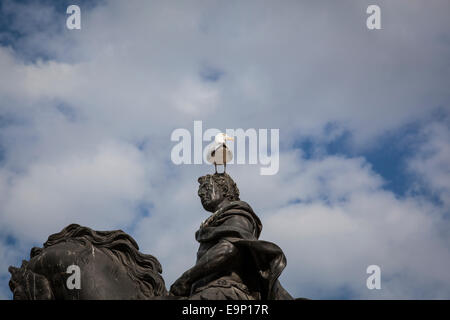 A seagull sits on top of the statue of William III by John Michael Rysbrack and erected in Queen Square, Bristol in 1736. Stock Photo