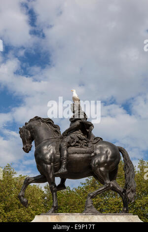 A seagull sits on top of the statue of William III by John Michael Rysbrack and erected in Queen Square, Bristol in 1736. Stock Photo