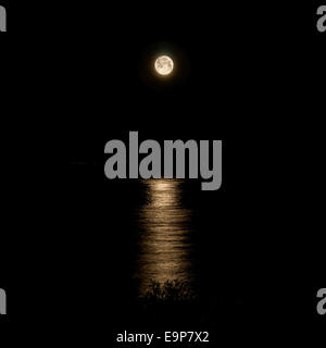 Full Moon and moonlight on night sea Stock Photo